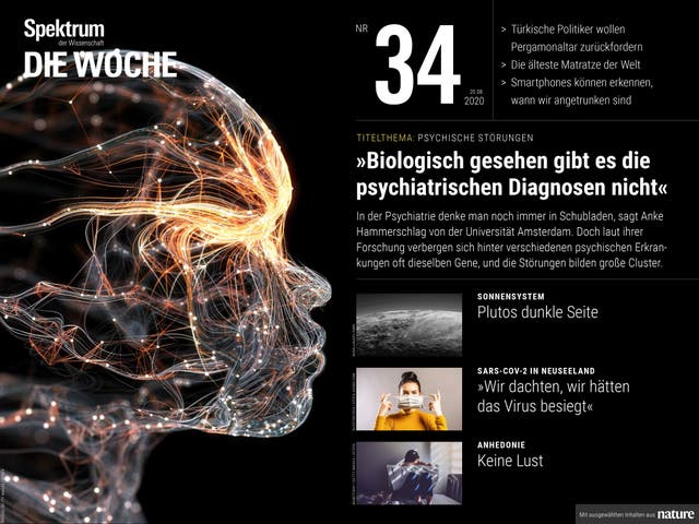 Spektrum - Die Woche - 34/2020 - Biologisch gesehen gibt es die psychiatrischen Diagnosen nicht