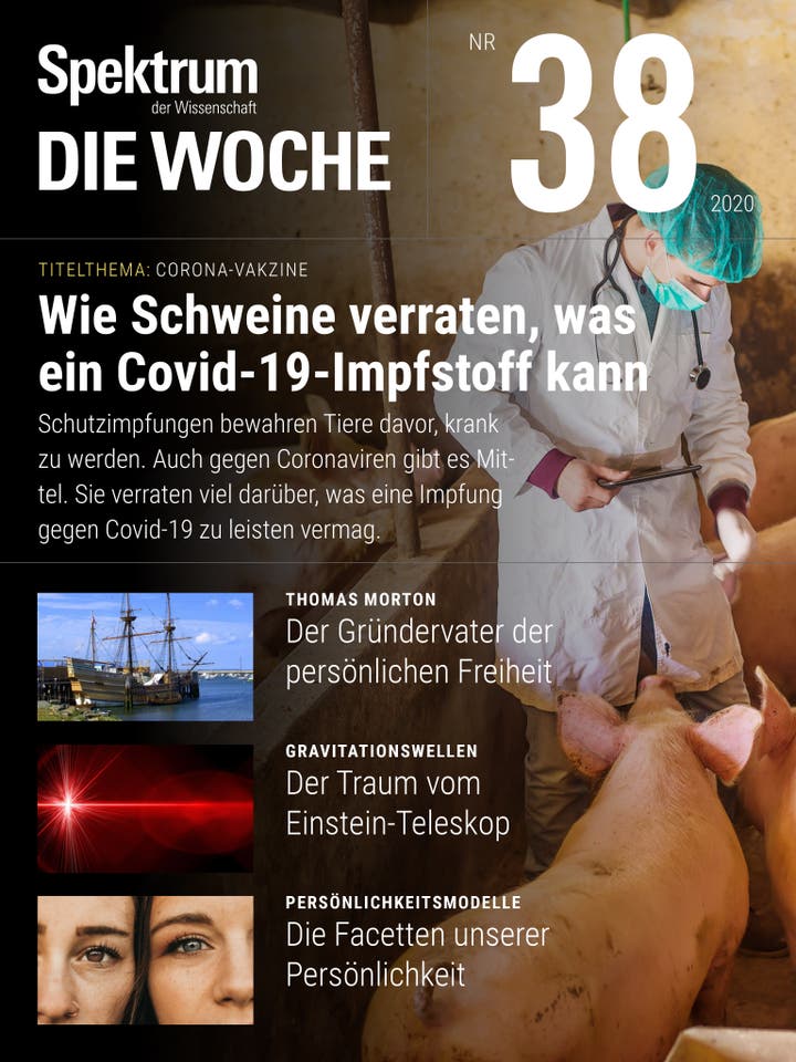 Spektrum - Die Woche - 38/2020 - Wie Schweine verraten, was ein Covid-19-Impfstoff kann