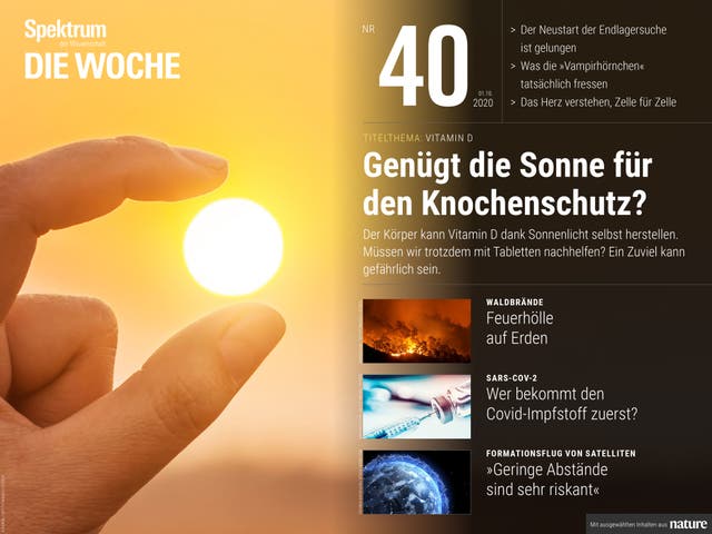 Spektrum - Die Woche - 40/2020 - Genügt die Sonne für den Knochenschutz?