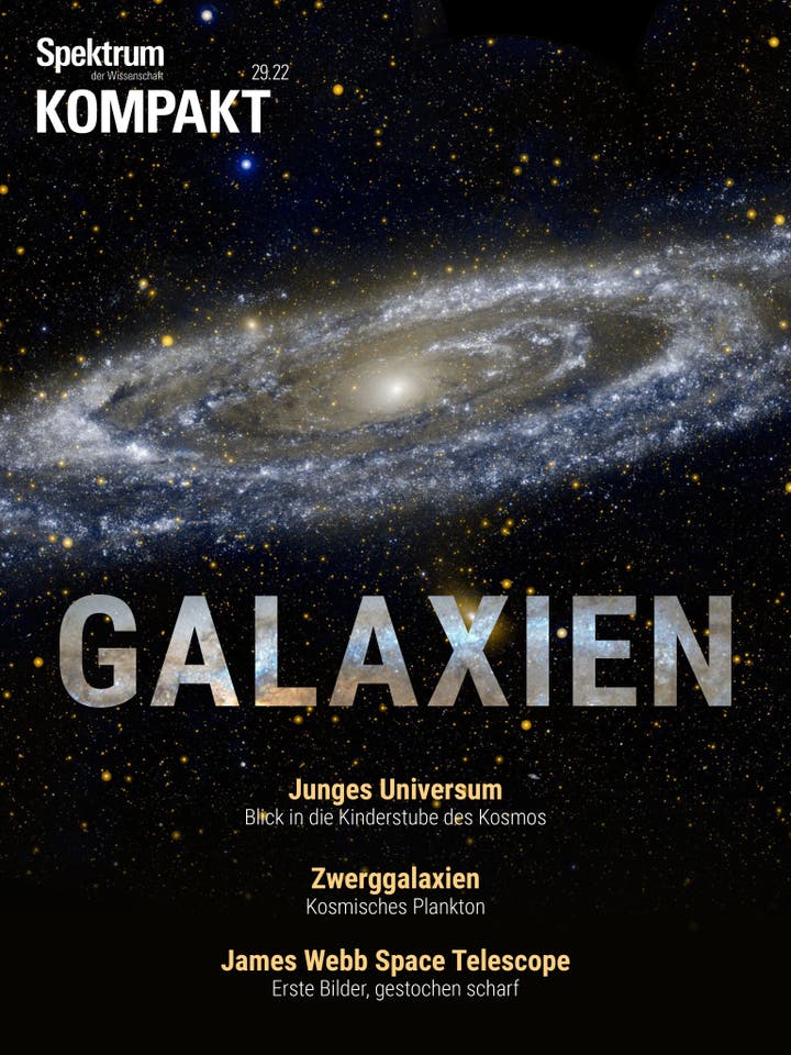 Spektrum Kompakt - 29/2022 - Galaxien