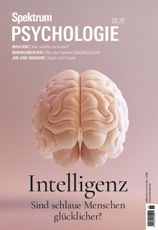 Spektrum Psychologie:  Intelligenz