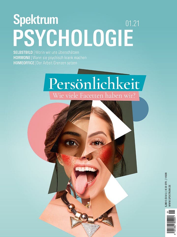 Spektrum Psychologie:  Persönlichkeit