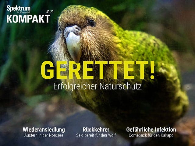 Spektrum Kompakt - 49/2020 - Gerettet! - Erfolgreicher Naturschutz