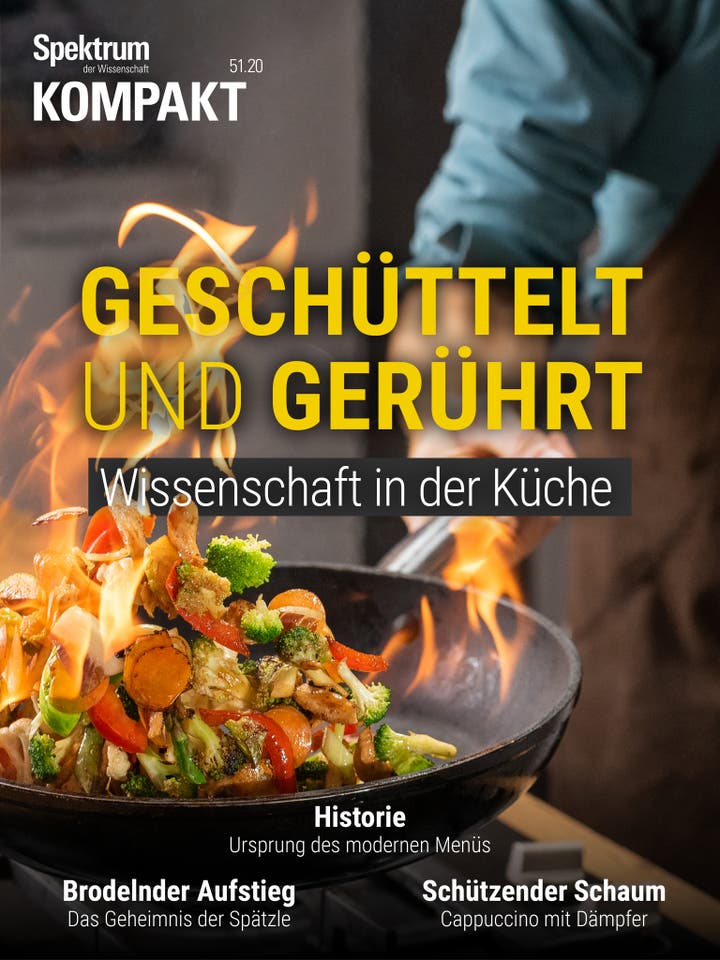 Spektrum Kompakt - 51/2020 - Geschüttelt und gerührt - Wissenschaft in der Küche