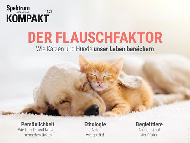 Spektrum Kompakt - 11/2021 - Der Flauschfaktor - Wie Katzen und Hunde unser Leben bereichern