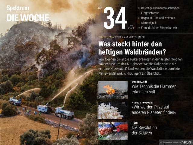 Spektrum - Die Woche - 34/2021 - Was steckt hinter den heftigen Waldbränden?
