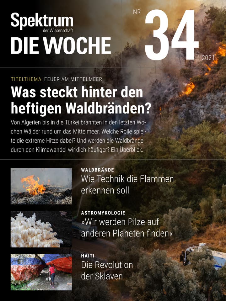Spektrum – Die Woche – 34/2021 – Was steckt hinter den heftigen Waldbränden?