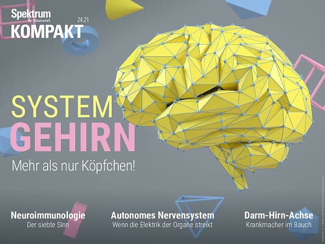 Spektrum Kompakt:  System Gehirn – Mehr als nur Köpfchen!