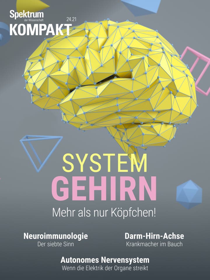 Spektrum Kompakt – 24/2021 – System Gehirn – Mehr als nur Köpfchen!