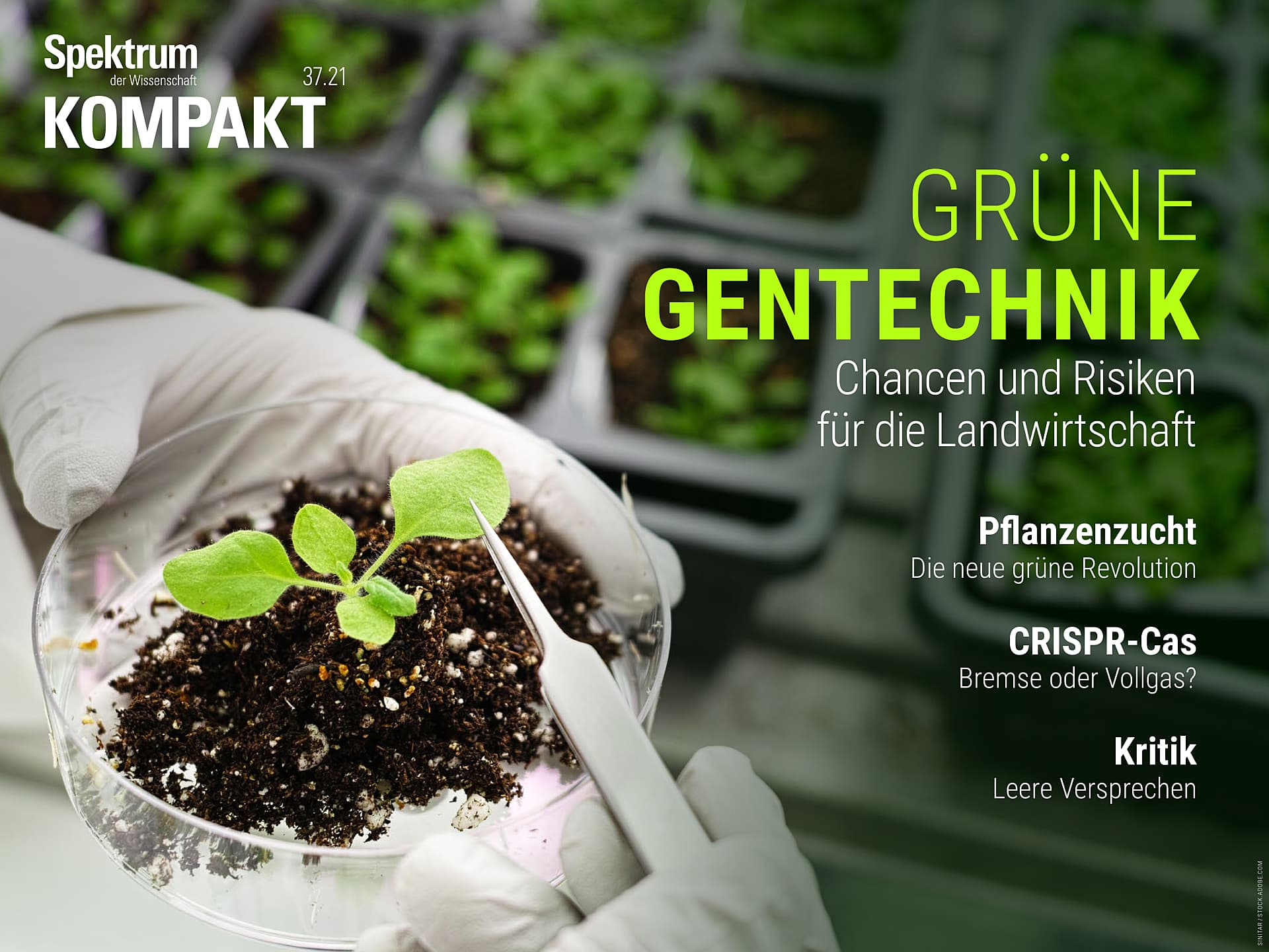 Grüne Gentechnik - Chancen und Risiken für die Landwirtschaft