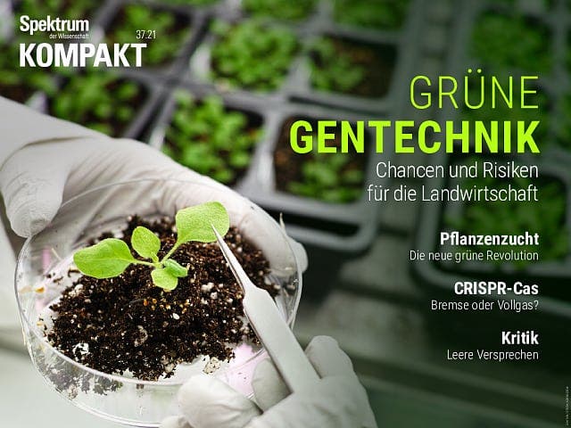 Spektrum Kompakt - 37/2021 - Grüne Gentechnik - Chancen und Risiken für die Landwirtschaft