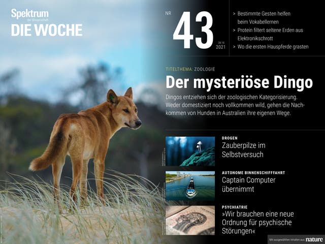 Spektrum - Die Woche - 43/2021 - Der mysteriöse Dingo