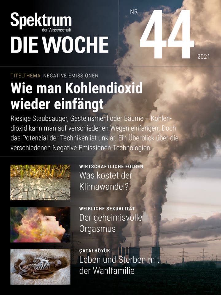 Spektrum - Die Woche - 44/2021 - Wie man Kohlendioxid wieder einfängt