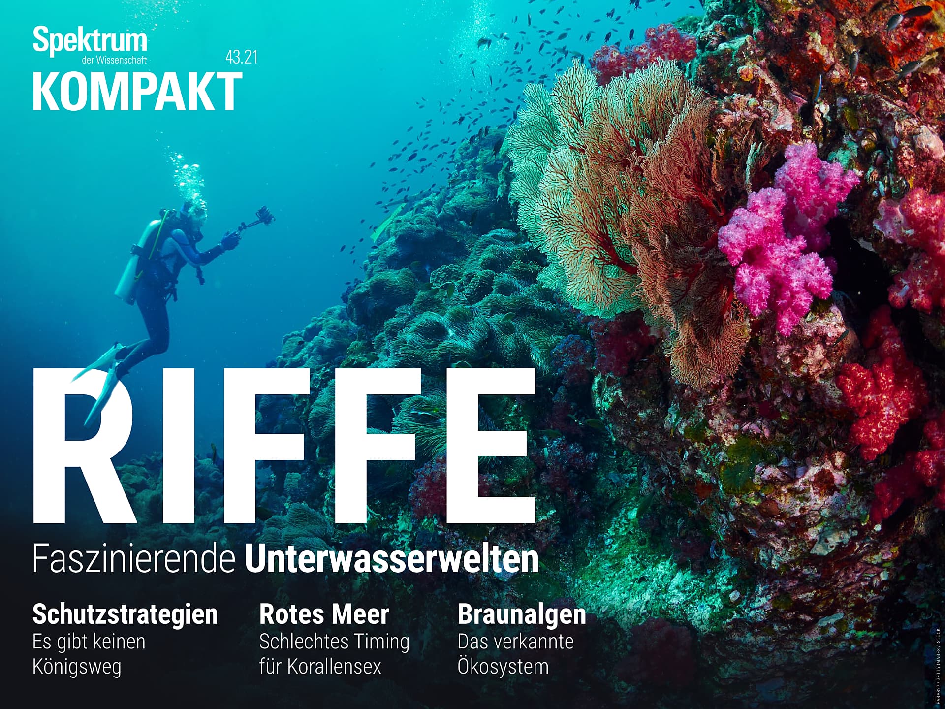 Riffe - Faszinierende Unterwasserwelten