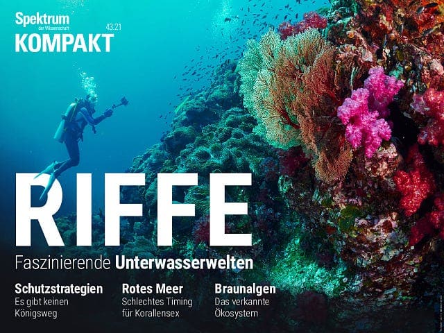 Spektrum Kompakt - 43/2021 - Riffe - Faszinierende Unterwasserwelten