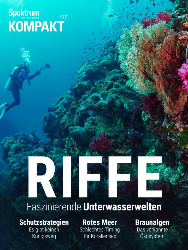 Spektrum Kompakt – 43/2021 – Riffe – Faszinierende Unterwasserwelten