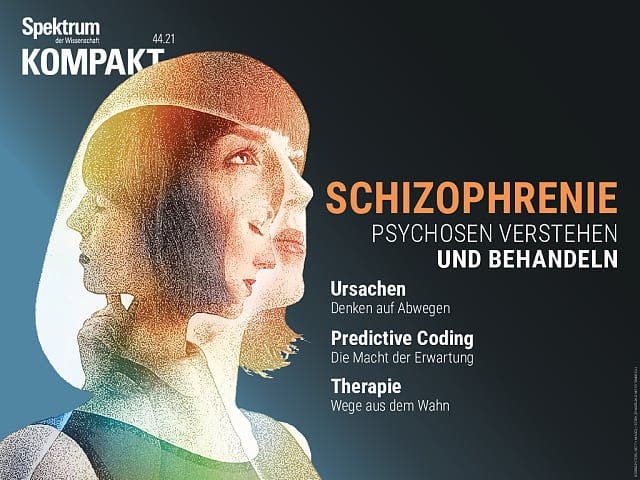 Schizophrenie – Psychosen verstehen und behandeln