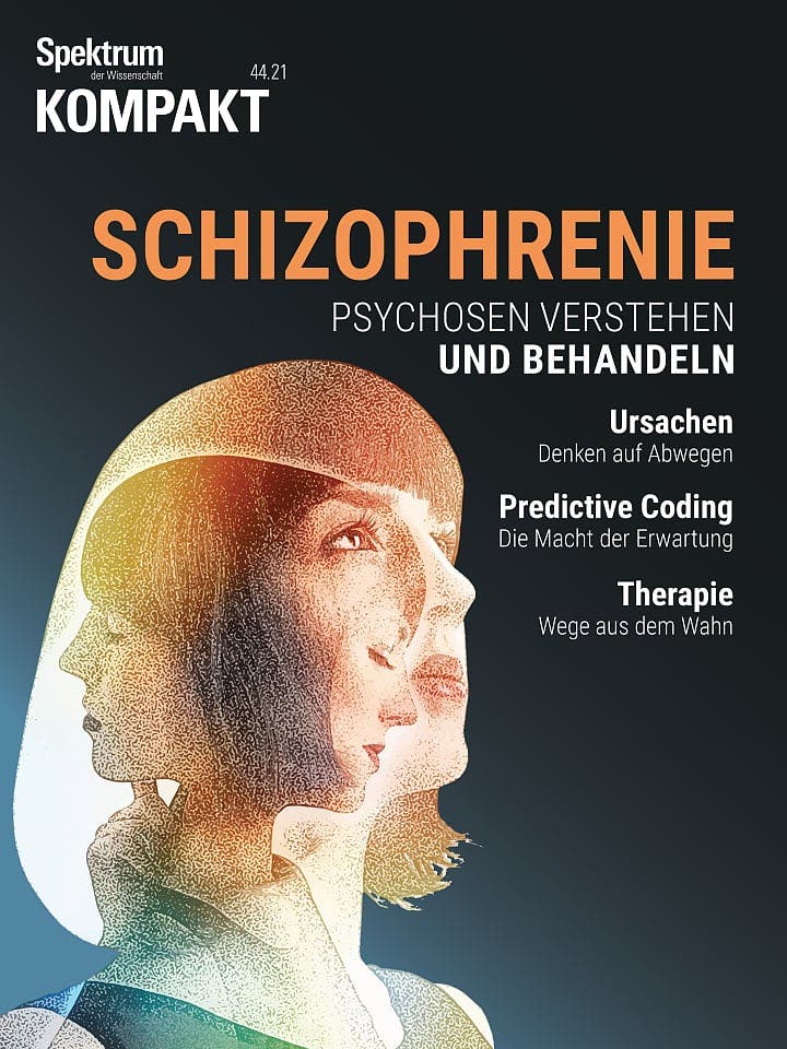 Spektrum Kompakt:  Schizophrenie – Psychosen verstehen und behandeln