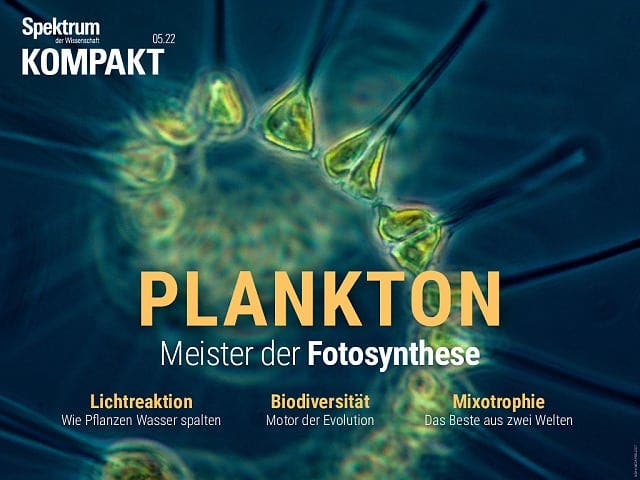 Spektrum Kompakt:  Plankton – Meister der Fotosynthese