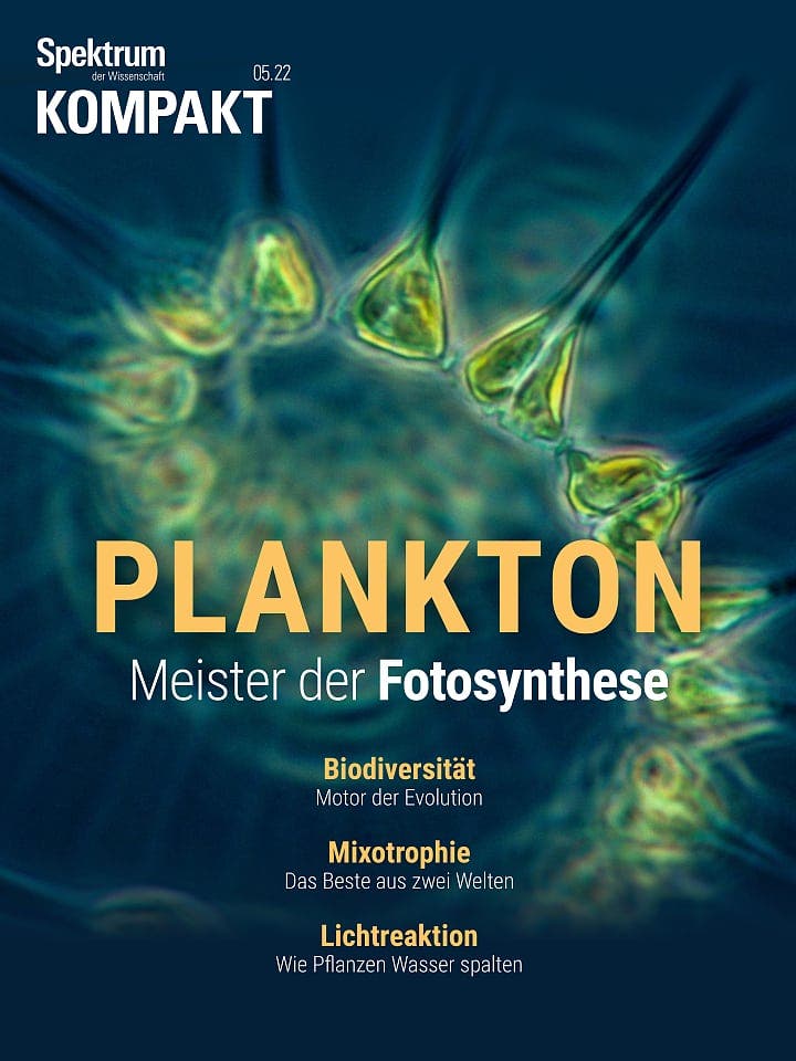 Spektrum Kompakt:  Plankton – Meister der Fotosynthese