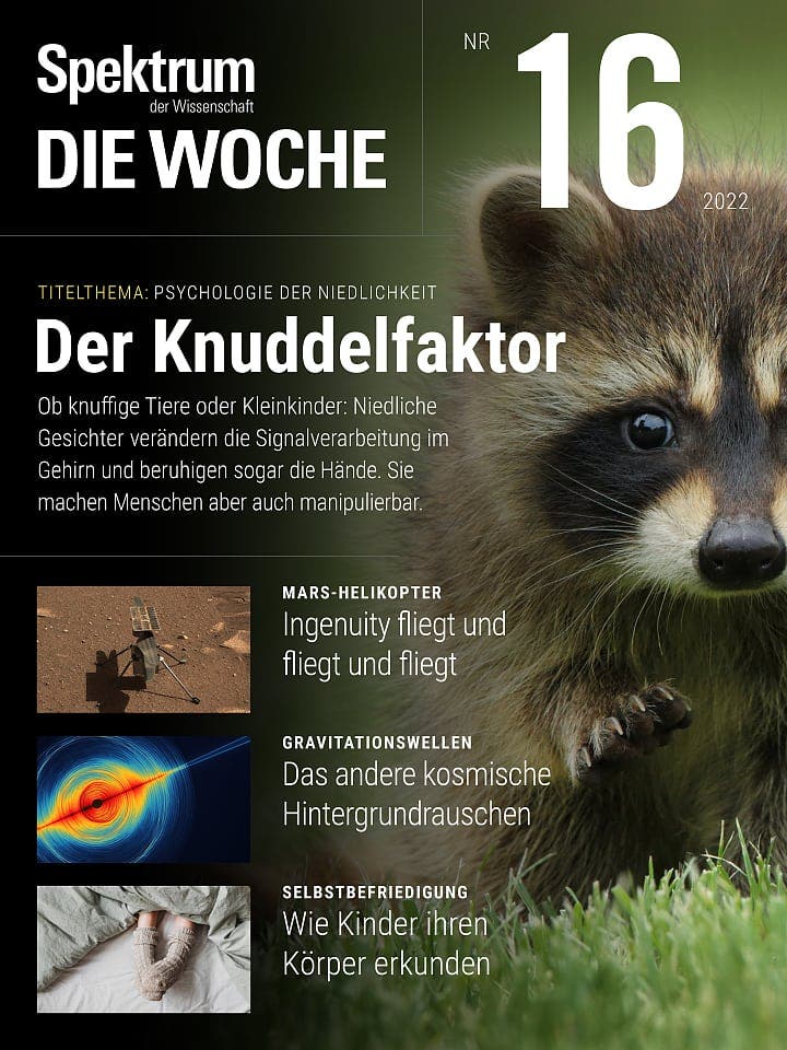 Der Knuddelfaktor