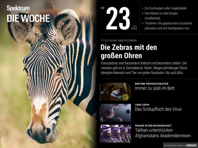 Spektrum - Die Woche - 23/2022 - Die Zebras mit den großen Ohren