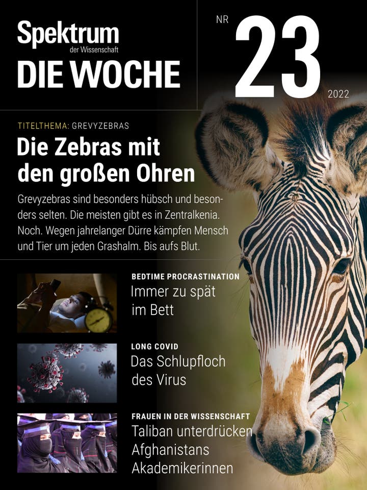 Spektrum – Die Woche – 23/2022 – Die Zebras mit den großen Ohren