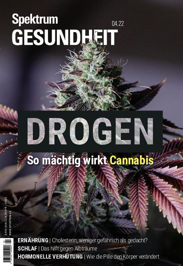 Spektrum Gesundheit:  Drogen – so mächtig wirkt Cannabis