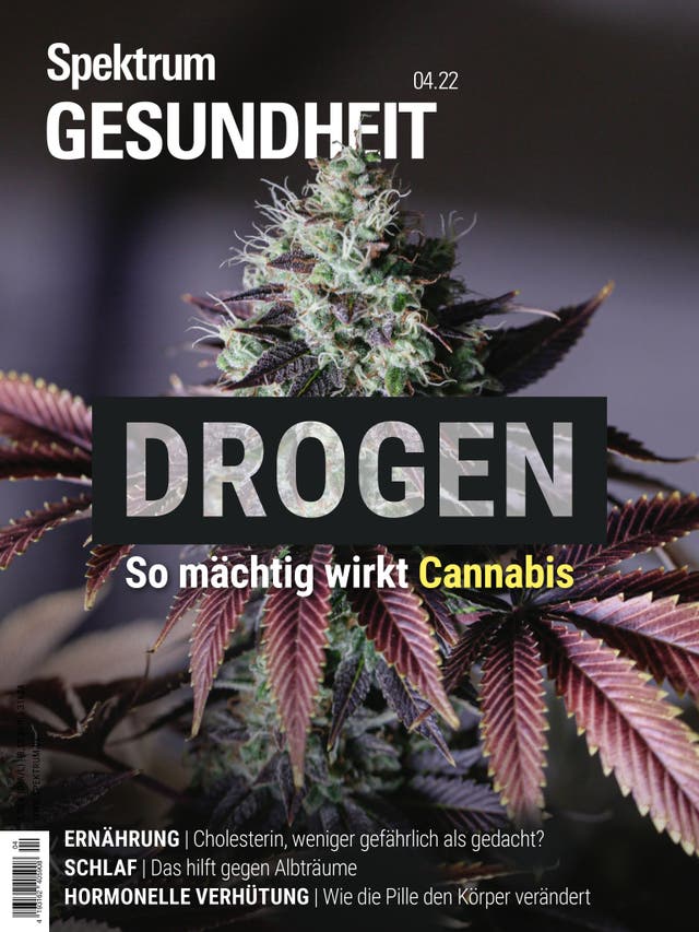 Spektrum Gesundheit - 4/2022 - Drogen – so mächtig wirkt Cannabis