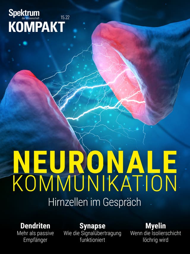 Spektrum Kompakt - 15/2022 - Neuronale Kommunikation – Hirnzellen im Gespräch
