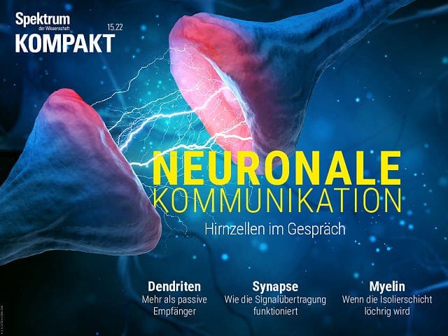 Neuronale Kommunikation – Hirnzellen im Gespräch