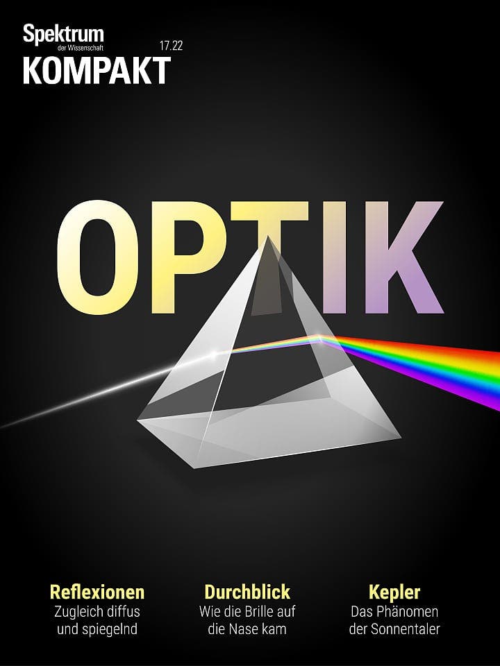 Spektrum Kompakt:  Optik