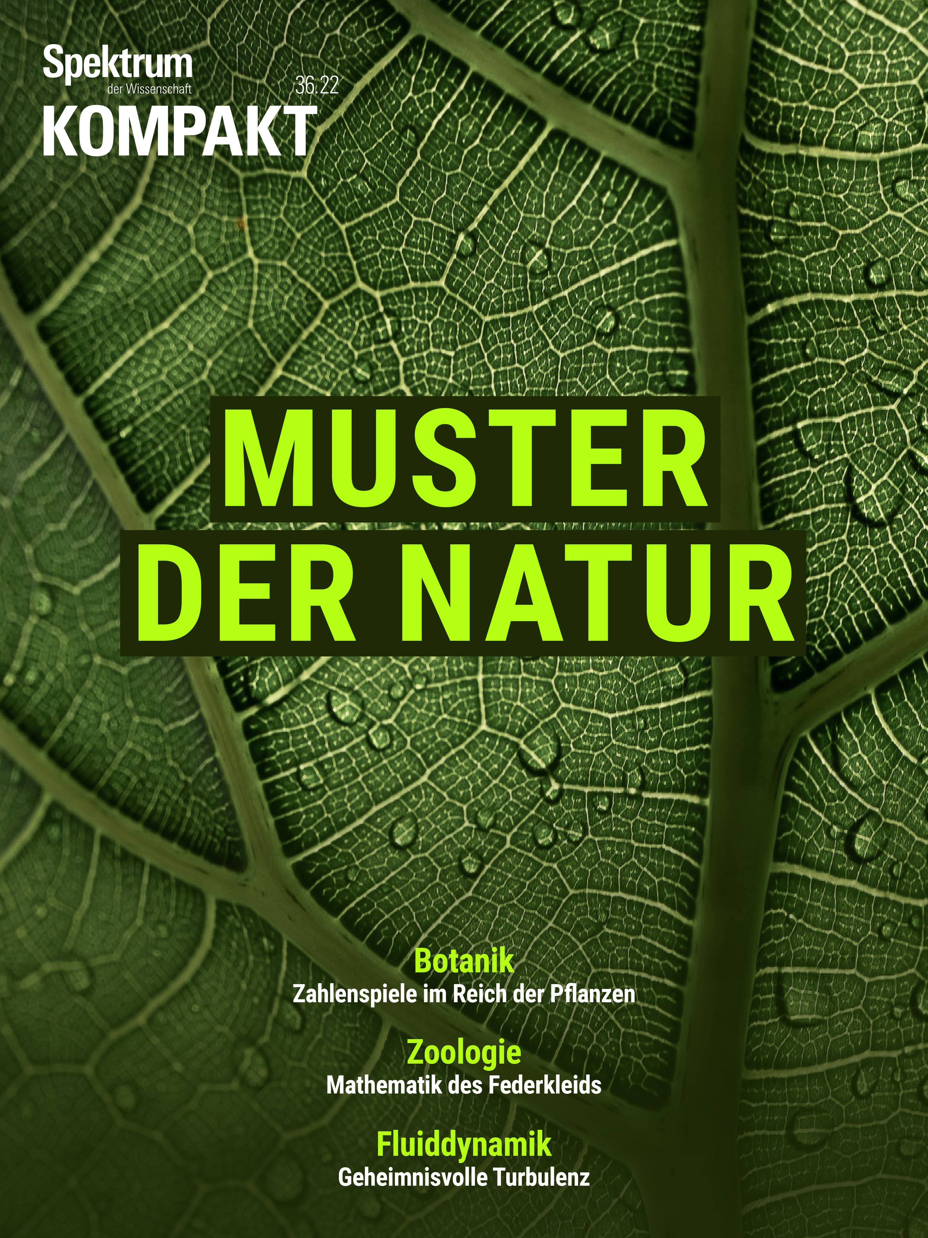 Spektrum Kompakt: Muster Der Natur - Spektrum Der Wissenschaft