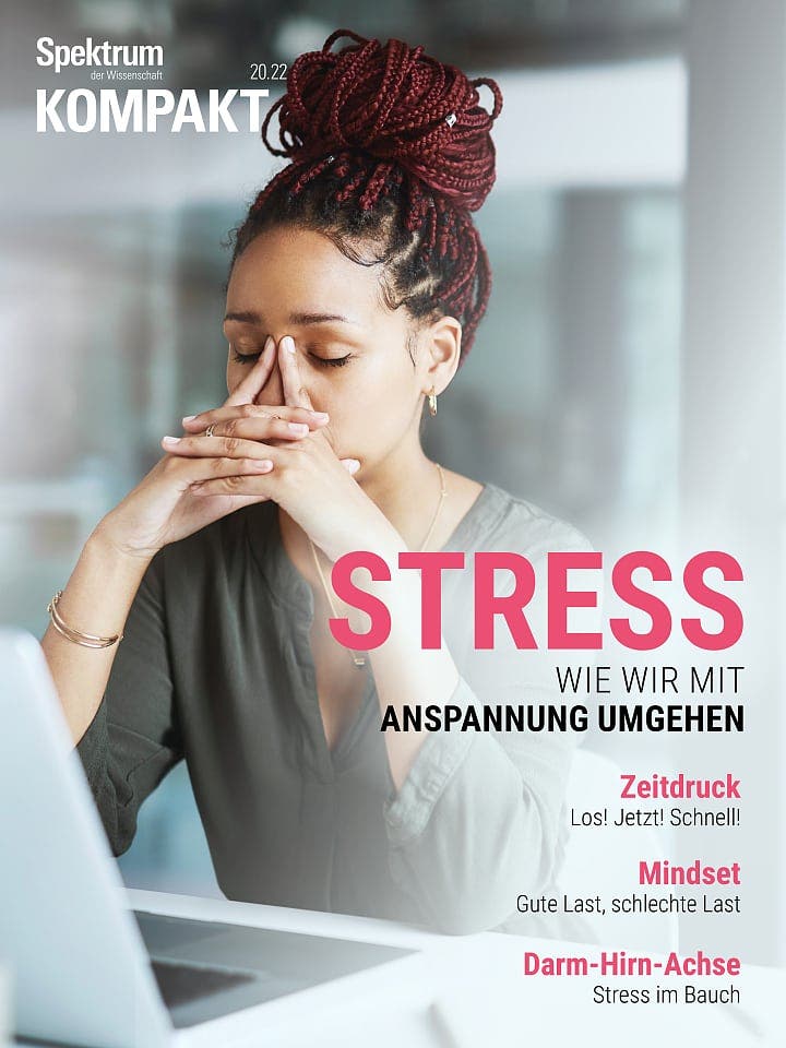 Spektrum Kompakt:  Stress – Wie wir mit Anspannung umgehen