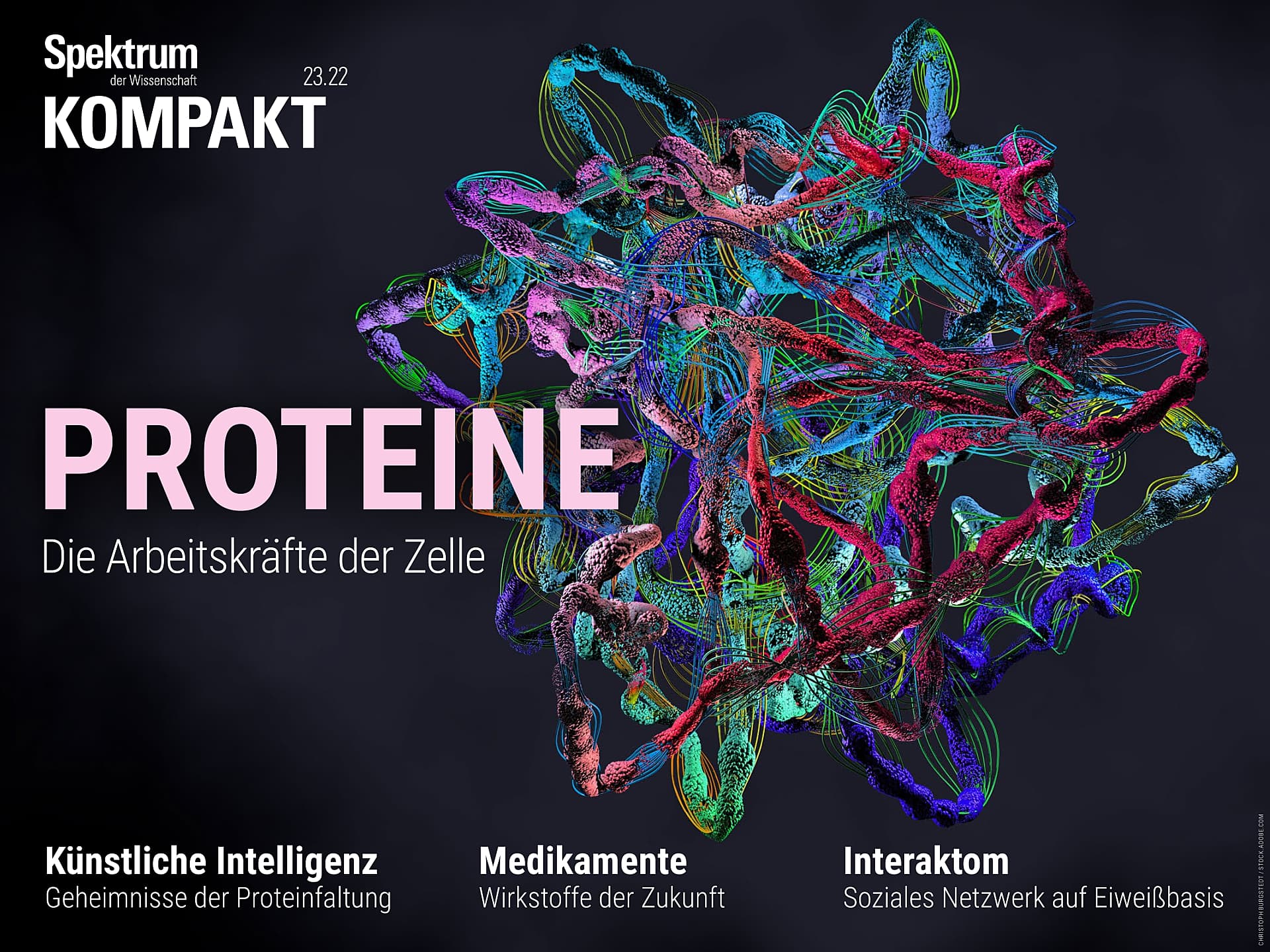 Proteine - Die Arbeitskräfte der Zelle 