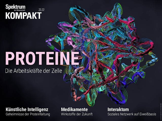 Proteine – Die Arbeitskräfte der Zelle 