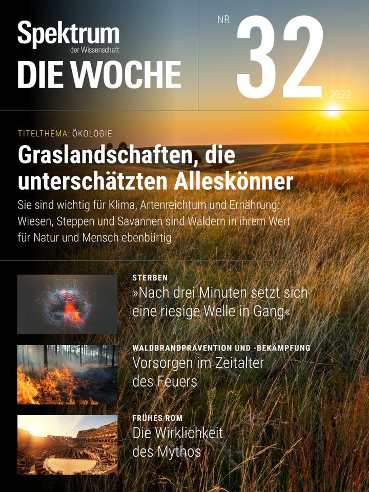 Spektrum – Die Woche – 32/2022 – Graslandschaften, die unterschätzten Alleskönner