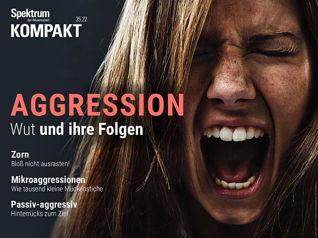  Aggression – Wut und ihre Folgen