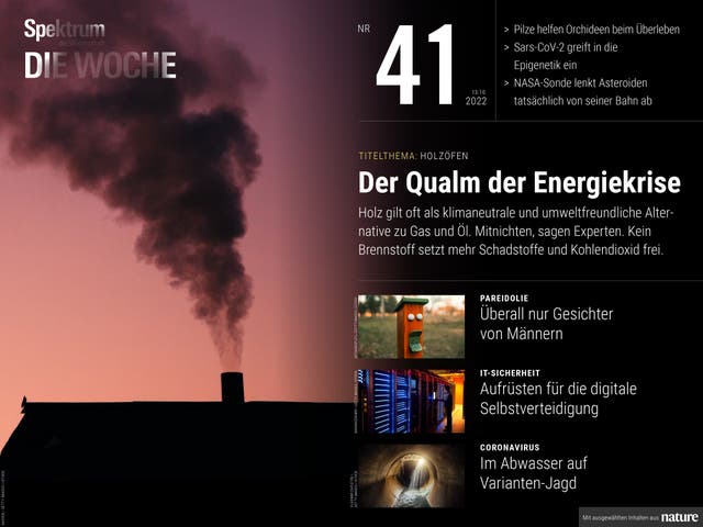 Spektrum - Die Woche - 41/2022 - Der Qualm der Energiekrise