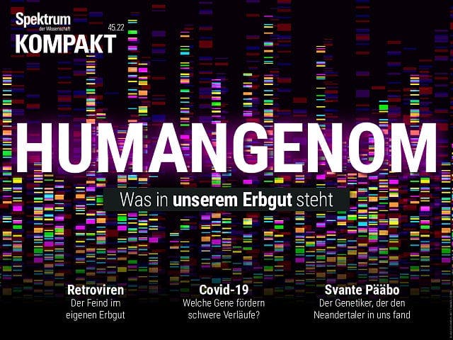  Humangenom – Was in unserem Erbgut steht