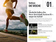 Spektrum - Die Woche - 1/2023 - Muskeln halten das Herz-Kreislauf-System fit &ndash; sogar im Schlaf
