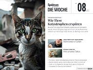 Spektrum - Die Woche - 8/2023 - Wie Tiere Katastrophen ersp&uuml;ren