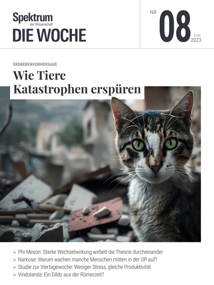 Spektrum - Die Woche - 8/2023 - Wie Tiere Katastrophen erspüren