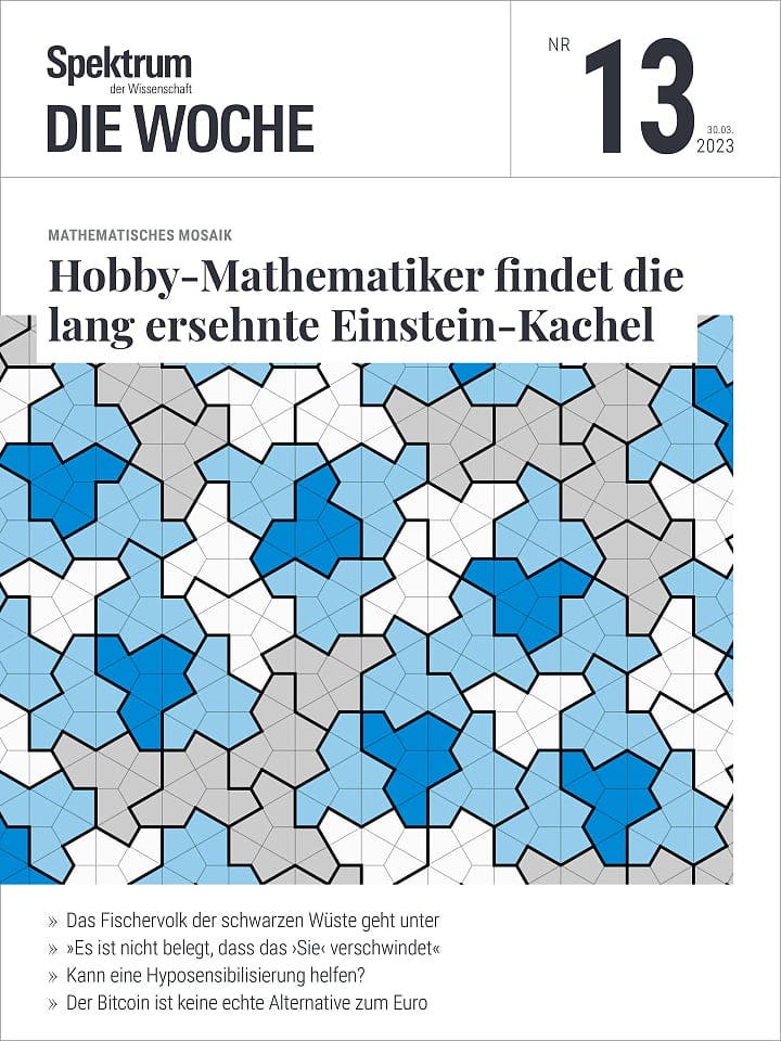 Hobby-Mathematiker findet die lang ersehnte Einstein-Kachel