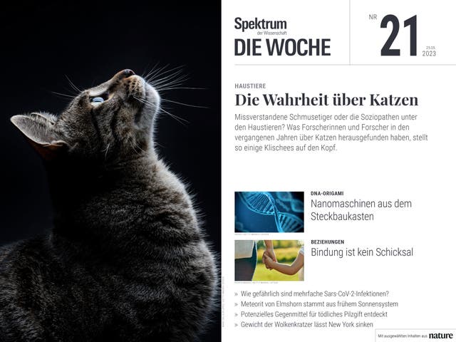 Spektrum - Die Woche - 21/2023 - Die Wahrheit über Katzen