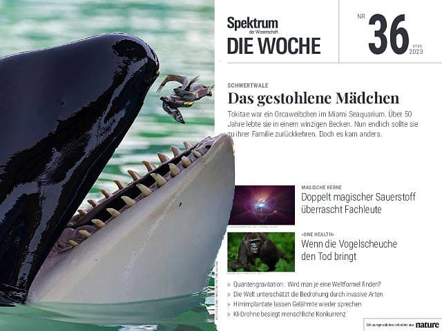 Das gestohlene Mädchen