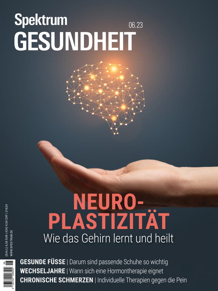Spektrum Gesundheit – 6/2023 – Neuroplastizität – Wie unser Gehirn lernt und heilt