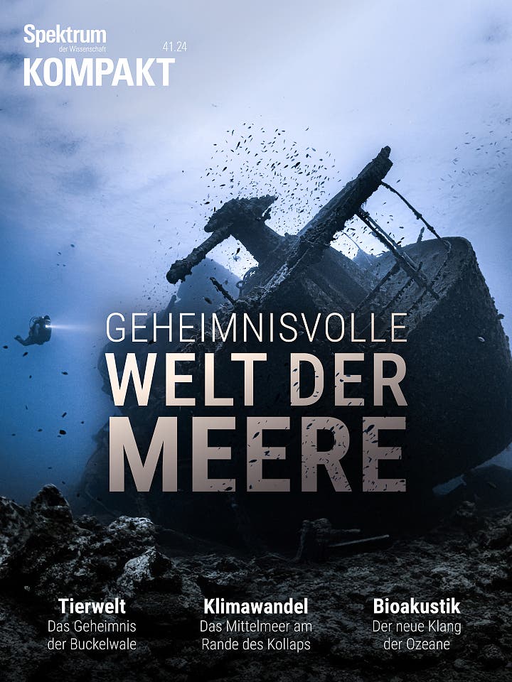 Geheimnisvolle Welt der Meere