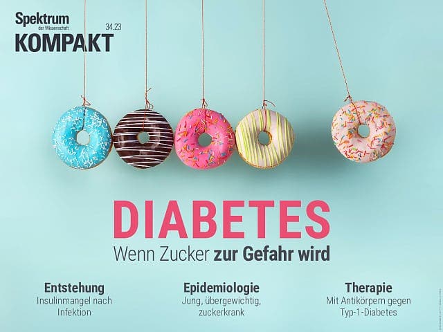 Spektrum Kompakt - 34/2023 - Diabetes – Wenn Zucker zur Gefahr wird