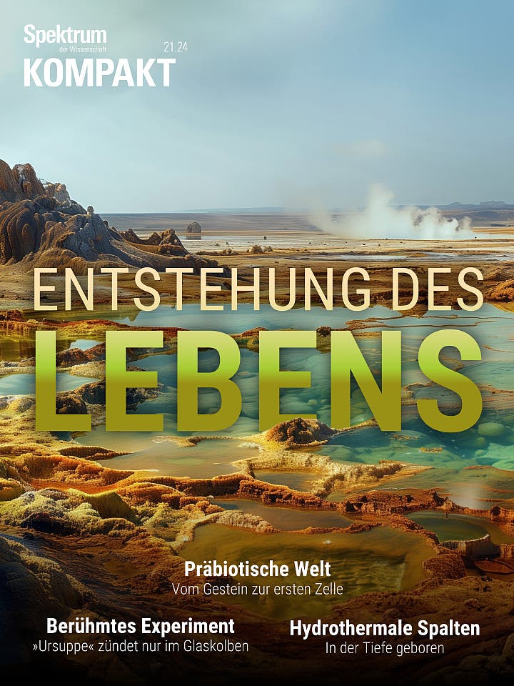 Entstehung des Lebens